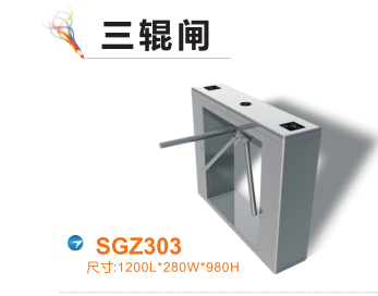 四平铁东区三辊闸四号